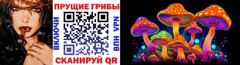 MEGA ссылка  Миньяр  Галлюциногенные грибы мицелий  наркошоп 